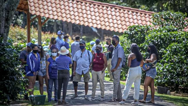 Alajuela: Coffee Plantation Guided Tour with Tasting - Photo 3 (Gallery view)