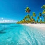 Punta Cana: Catalina Island Scuba Diving Day Trip - Photo 5 (Gallery view)
