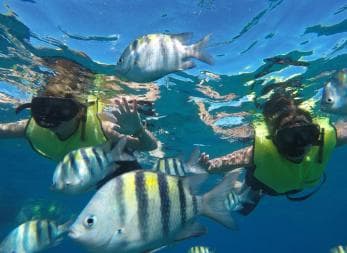 Puerto Plata: Catamaran Snorkeling Trip with Buffet - Dominican Republic