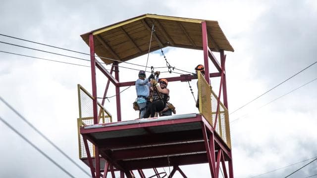 From San Juan: El Yunque Forest Hike & Ziplining Combo Tour - Photo 4 (Gallery view)
