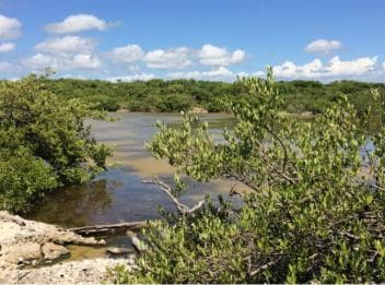 Jaragua National Park: Explore Laguna de Oviedo - Photo 5 (Gallery view)