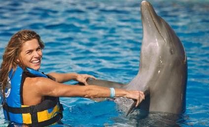 Punta Cana: Swim or Interact with Dolphins in the Sea - Photo 2 (Gallery view)
