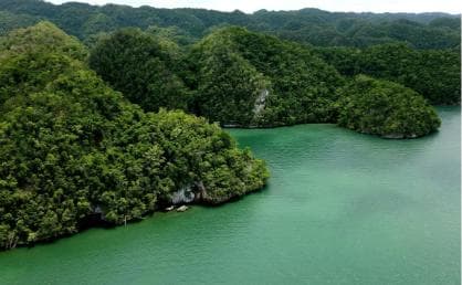Los Haitises: Boat Excursion and Walking Tour with Lunch - Photo 3 (Gallery view)