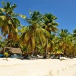 Ostrov Saona z Punta Cana - Photo 4 (Gallery view)