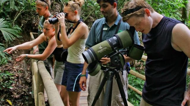Bird Watching Tour at Rainforest Adventures Braulio Carrillo - Dominican Republic