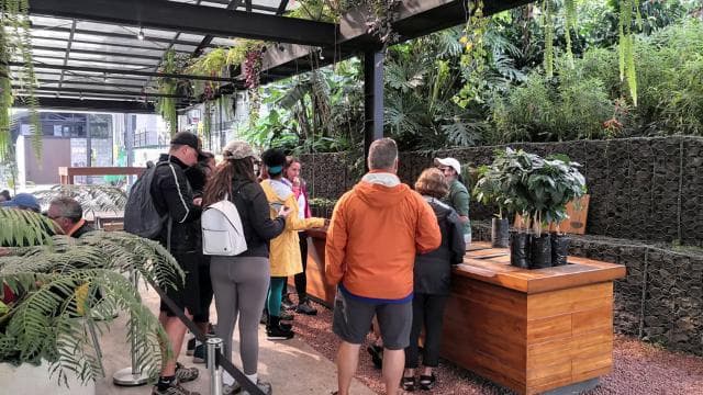 San José: Geführter Tagesausflug zum Vulkan, zum Wasserfall und zur Kaffeefarm - Photo 2 (Gallery view)