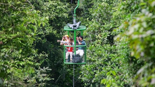 Jaco Beach: Pacific Aerial Tram at Rainforest Adventures - Photo 2 (Gallery view)