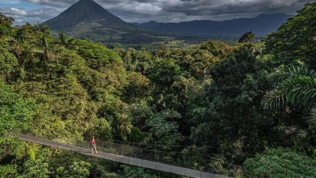 Costa Rica: Mistico Hanging Bridges Guided Tour - Dominican Republic