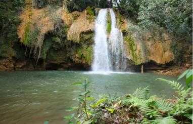 Punta Cana: Samaná Day Trip with Waterfall & Cayo Levantado - Photo 3 (Gallery view)