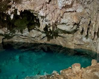 Private: Bayahibe: Jungle Walk and Cenote Snorkeling Tour - Photo 3 (Gallery view)
