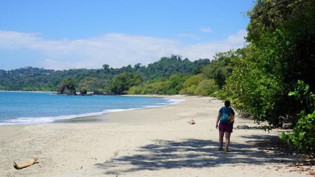 San Jose Costa Rica: Manuel Antonio National Park Tour - Dominican Republic