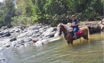 Santo Domingo: Horseback Riding - Round Trip Transportation - Dominican Republic