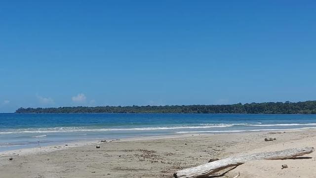 Cahuita national park : guiding tour with Pablo - Dominican Republic