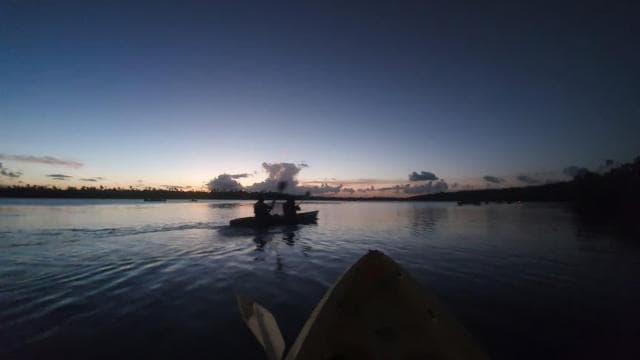 San Juan: Bioluminescent Laguna Grande Bay Night Kayaking - Photo 3 (Gallery view)