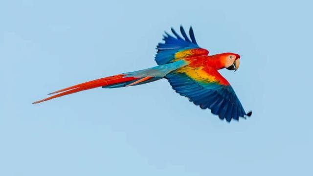 CR Luxury 14-Hour Off-the-Beaten-Path Tour Anywhere - Dominican Republic