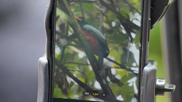 Manuel Antonio National Park: All-Inclusive Guided Tour - Dominican Republic
