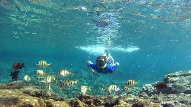 San Juan Snorkeling Tour with Roundtrip Transportation - Photo 5 (Gallery view)