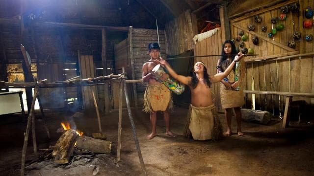 La Fortuna : visite en petit groupe de la réserve autochtone Maleku - Photo 4 (Gallery view)