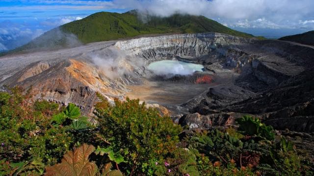 Volcan Poas: Volcan Poas National Park Flora & Fauna Tour - Photo 3 (Gallery view)