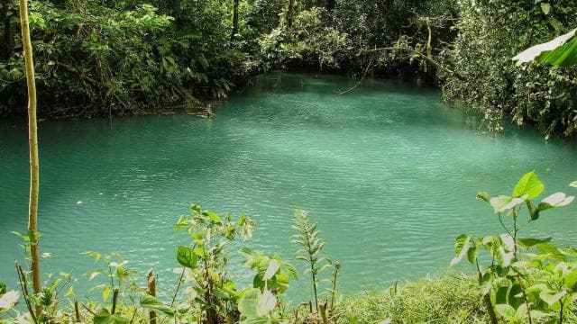 Rio Celeste, explore the rainforest and great waterfall - Photo 4 (Gallery view)