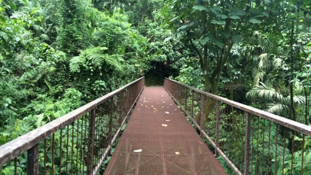 La Fortuna: Bird Watching Tour at Natura Park - Photo 2 (Gallery view)