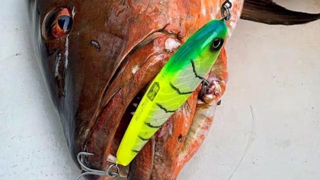 Playa Mantas: Beach Fishing Tour - Photo 4 (Gallery view)