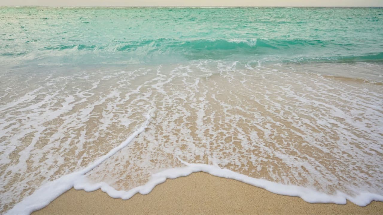 Punta Cana: Full Day Excursions Samana Island Bacardi - Photo 3 (Gallery view)
