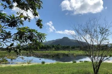 Puerto Plata Off-Road ATV Adventure - Dominican Republic