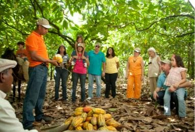 Dominican Republic: 3-Hour Chocolate Lovers Tour - Dominican Republic