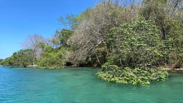 From Playa Pochote: Tortuga Island Private Tour - Photo 3 (Gallery view)