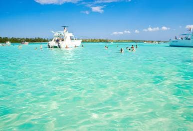 Saona Island Day Tour from Punta Cana with Lunch & Open Bar - Photo 2 (Gallery view)