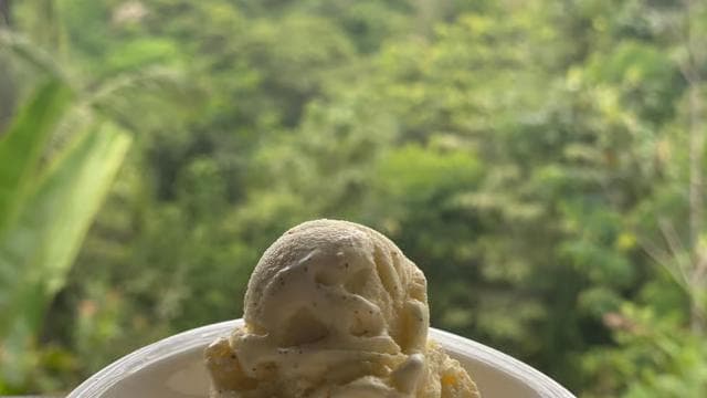 Manuel Antonio Villa Vanilla spice tour - Photo 4 (Gallery view)