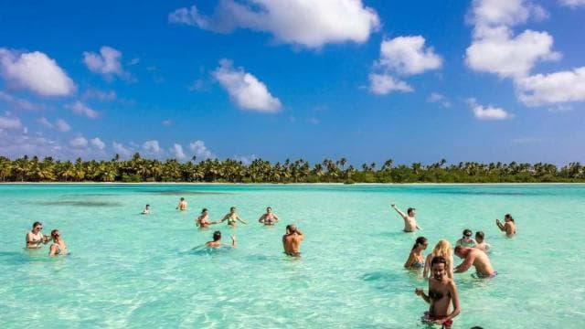 Saona Island: Relaxation Day Trip with Open Bar - Photo 4 (Gallery view)