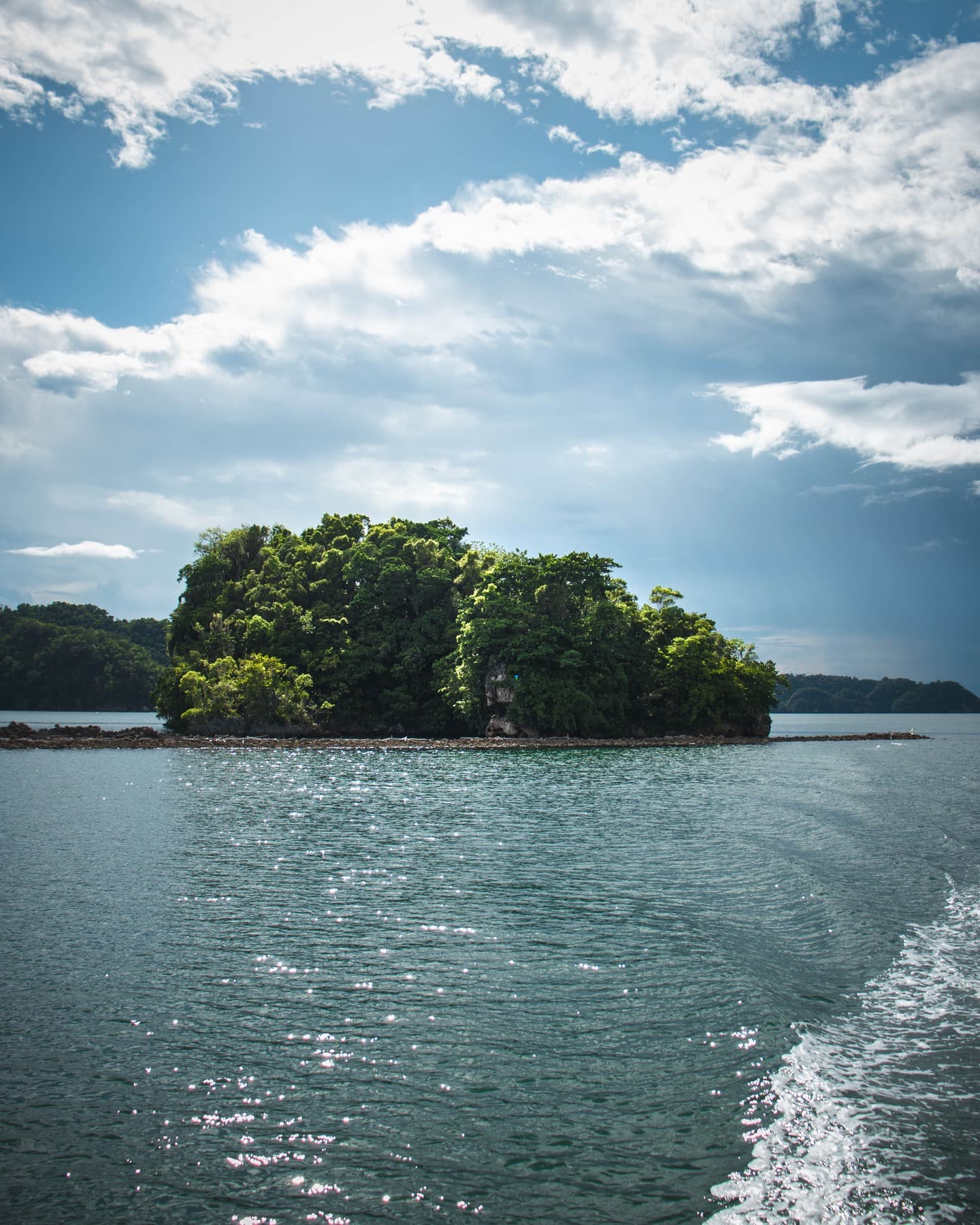 Los Haitises National Park Tour soti nan Las Terrenas, Samaná. Vwayaj Mwatye Jounen. Manje midi nan Caño Hondo - Photo 5 (Gallery view)