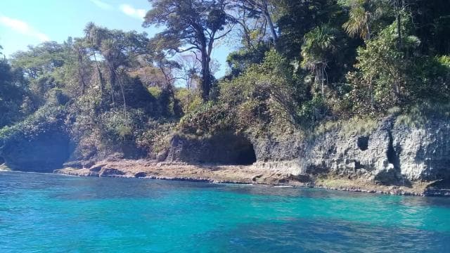 Manzanillo: Dolphin watching and Punta Mona Beach - Dominican Republic
