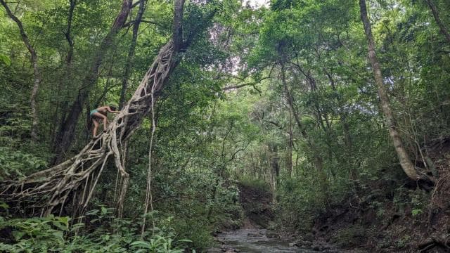 Private Tour Diria National Park Unspoken Hiking and Nature - Photo 2 (Gallery view)