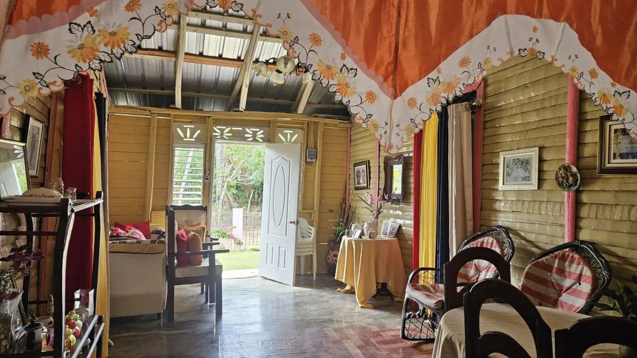 Private Half Day Tour in Punta Cana with Local Guide - Photo 4 (Gallery view)