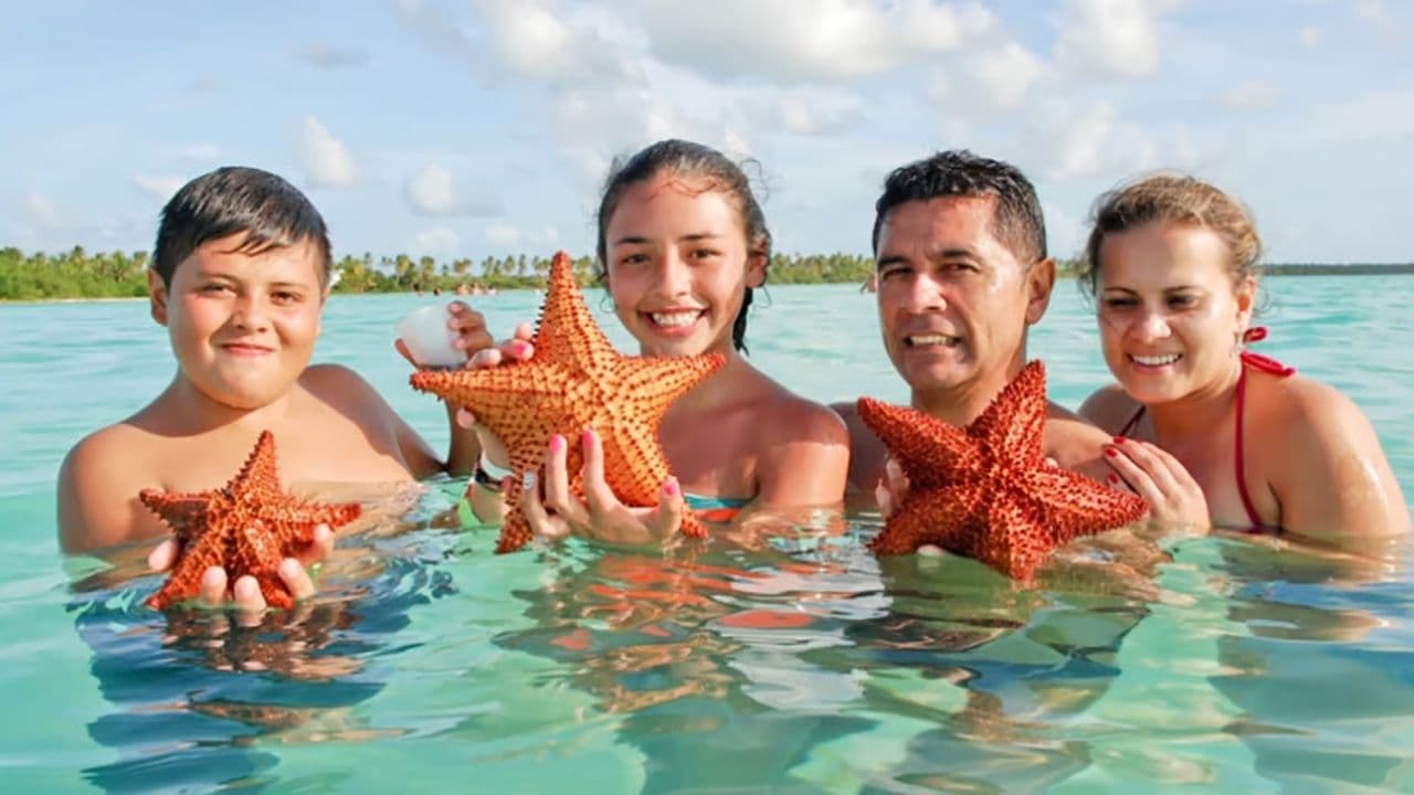 Saona Island: Incredible day With buffet from Punta Cana - Photo 5 (Gallery view)