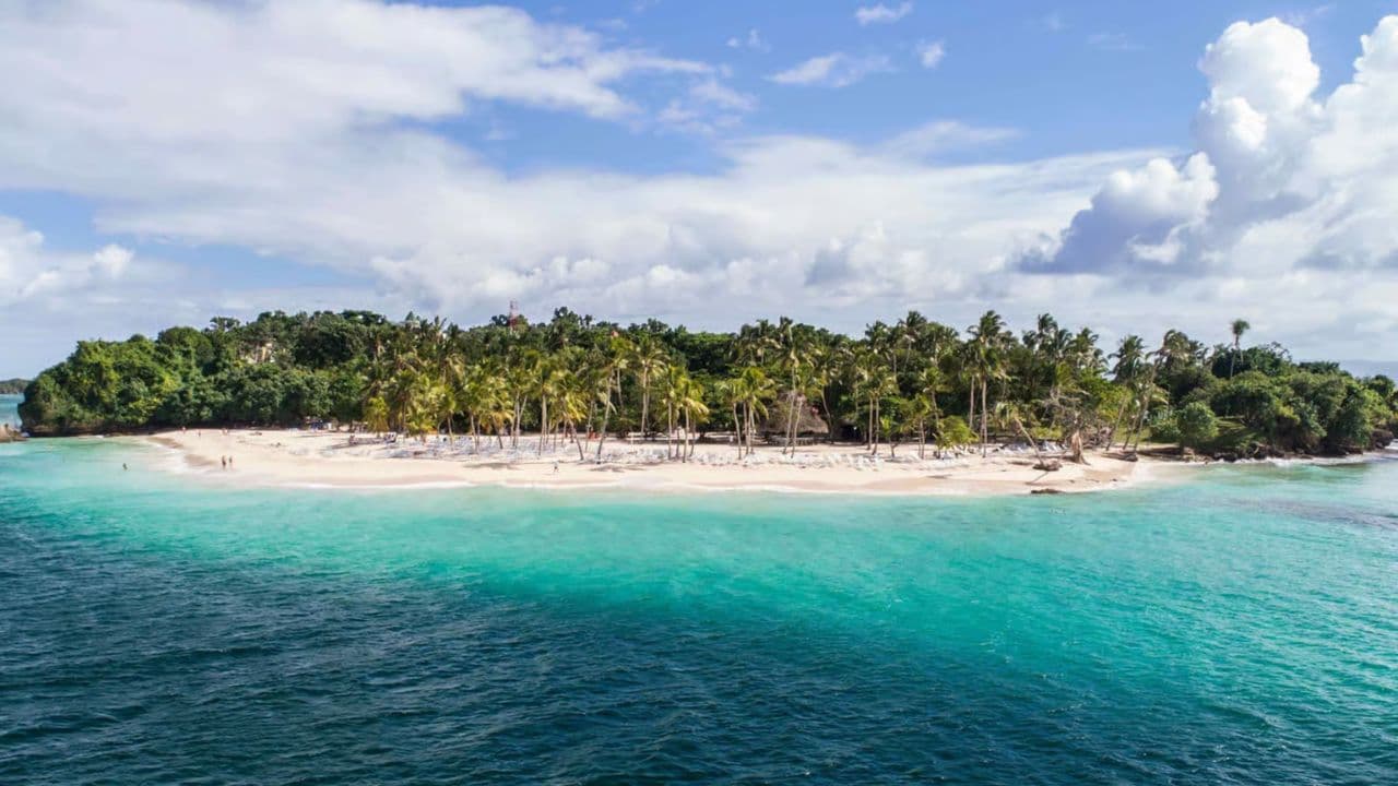 Whale Watching and Cayo Levantado Tour: A Perfect Tropical Getaway - Photo 3 (Gallery view)