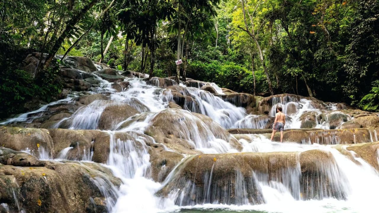 Jamaica: Full Day Dunn's River and Blue Hole with Lunch - Dominican Republic