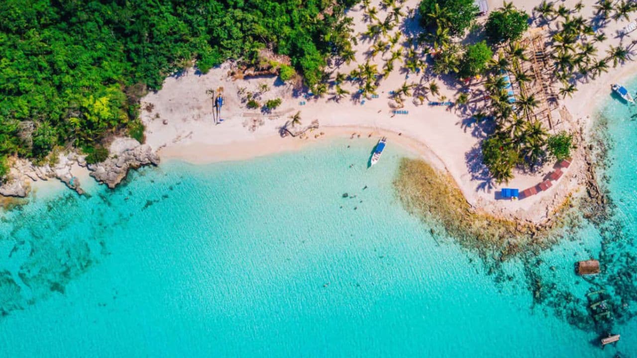 Saona Island From Punta Cana Dominican Republic Book Now - Photo 5 (Gallery view)