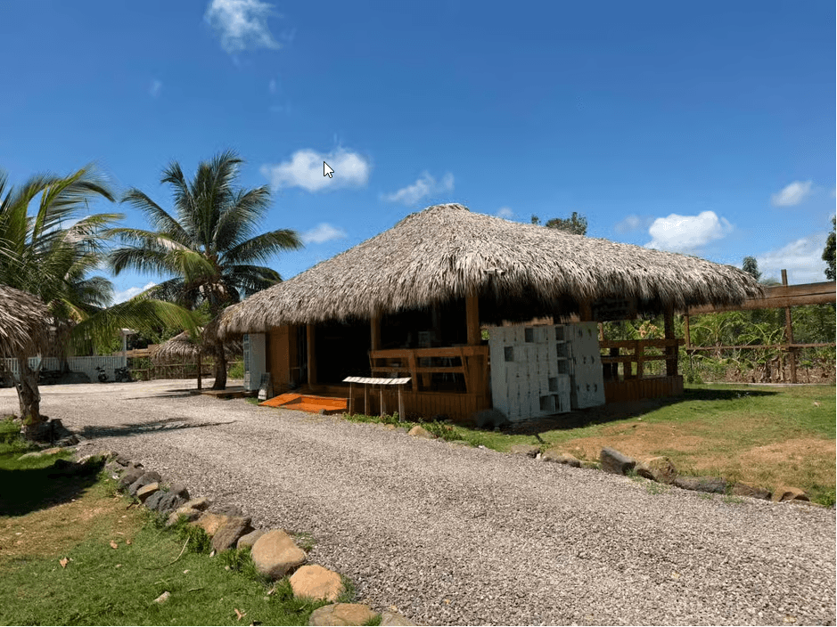 Monkey House VIP – Experiencia exclusiva en Punta Cana - Photo 3 (Gallery view)