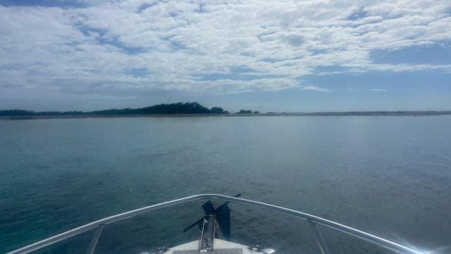 From La Parguera: Local Sandbars Speedboat Day Trip - Photo 3 (Gallery view)