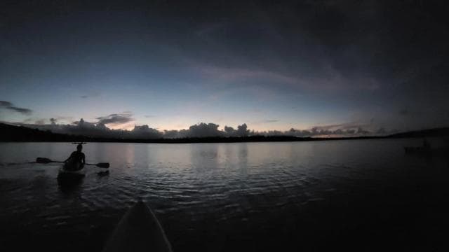 San Juan: Bioluminescent Laguna Grande Bay Night Kayaking - Photo 5 (Gallery view)