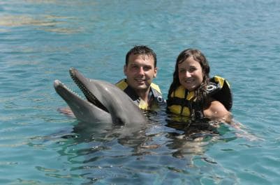 Puerto Plata Ocean World Dolphin Swim - Photo 3 (Gallery view)