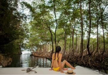 From Samana: Los Haitises Hike, Boat Trip, and Kayaking - Photo 2 (Gallery view)