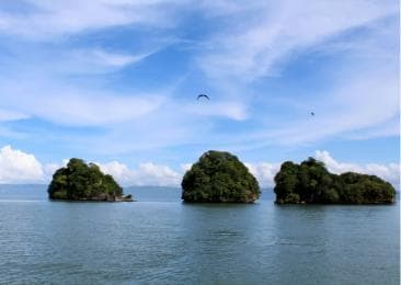 2in1: Los Haitises National Park + Yanigua Waterfall-SPA - Dominican Republic