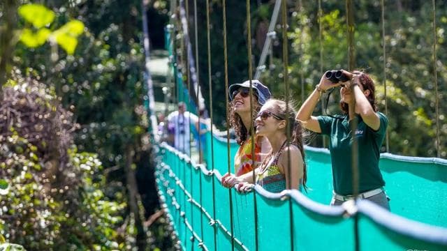 Monteverde: 3-in-1 Sky Tram, Sky Trek and Sky Walk - Photo 3 (Gallery view)