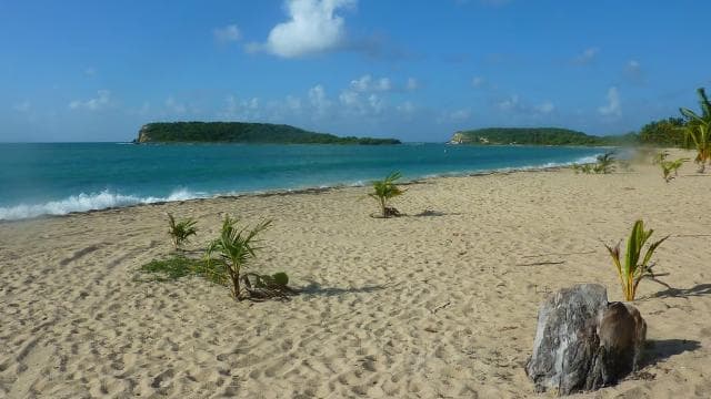 Soti nan Fajardo: bato ak plonje nan Culebra Island ak tout enklizif - Photo 2 (Gallery view)