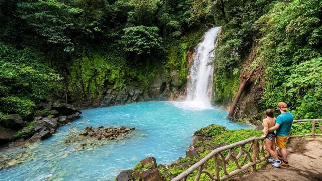 Rio Celeste Waterfall and Sloth Hike with Lunch - Photo 4 (Gallery view)